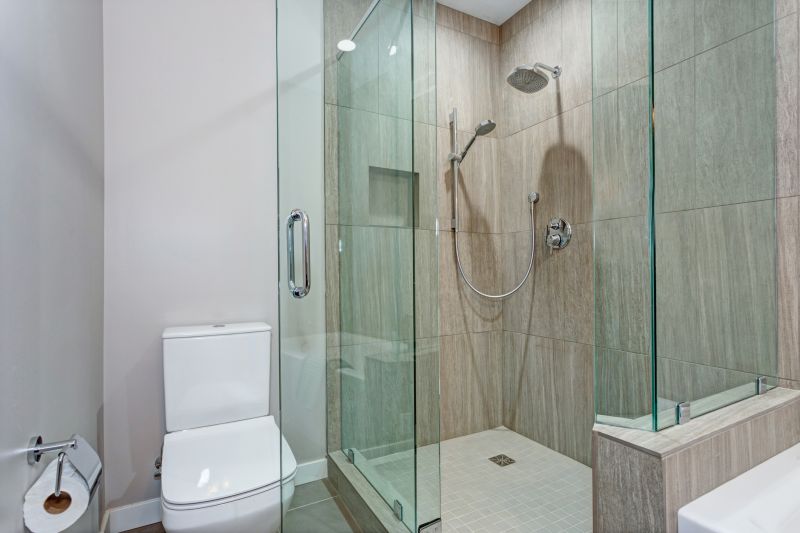 Modern Shower with Built-in Niche
